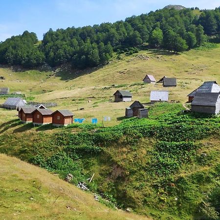 Eco Village Goles Kolasin Exterior photo