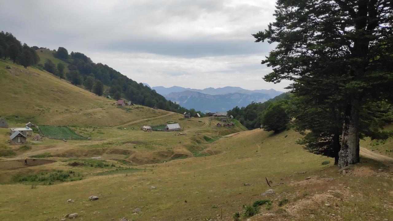 Eco Village Goles Kolasin Exterior photo