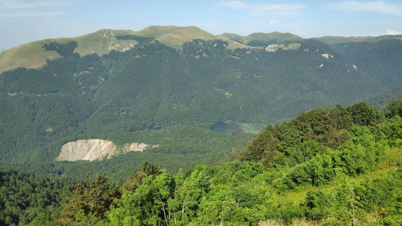 Eco Village Goles Kolasin Exterior photo