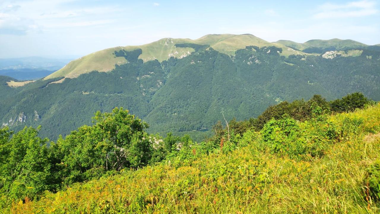 Eco Village Goles Kolasin Exterior photo