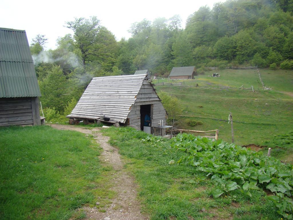 Eco Village Goles Kolasin Room photo