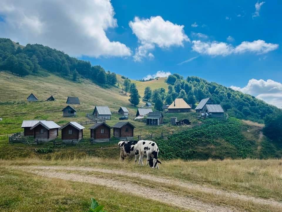 Eco Village Goles Kolasin Exterior photo